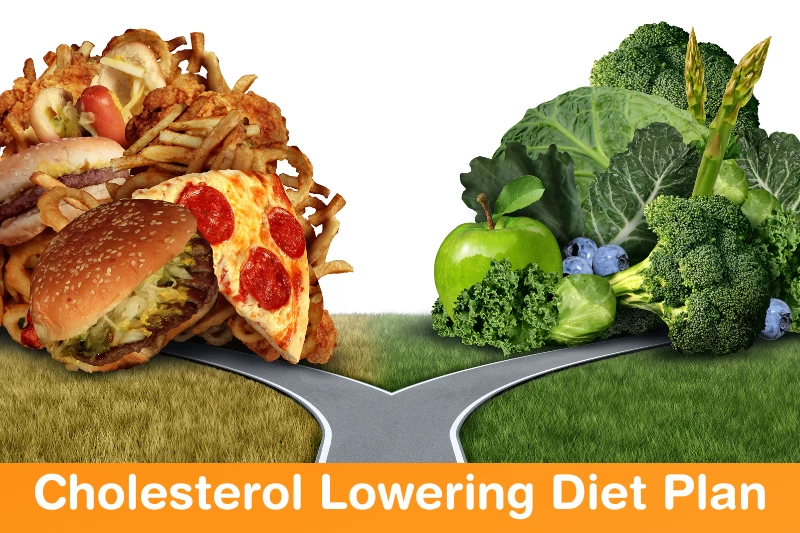 High Cholesterol / Triglycerides Diet